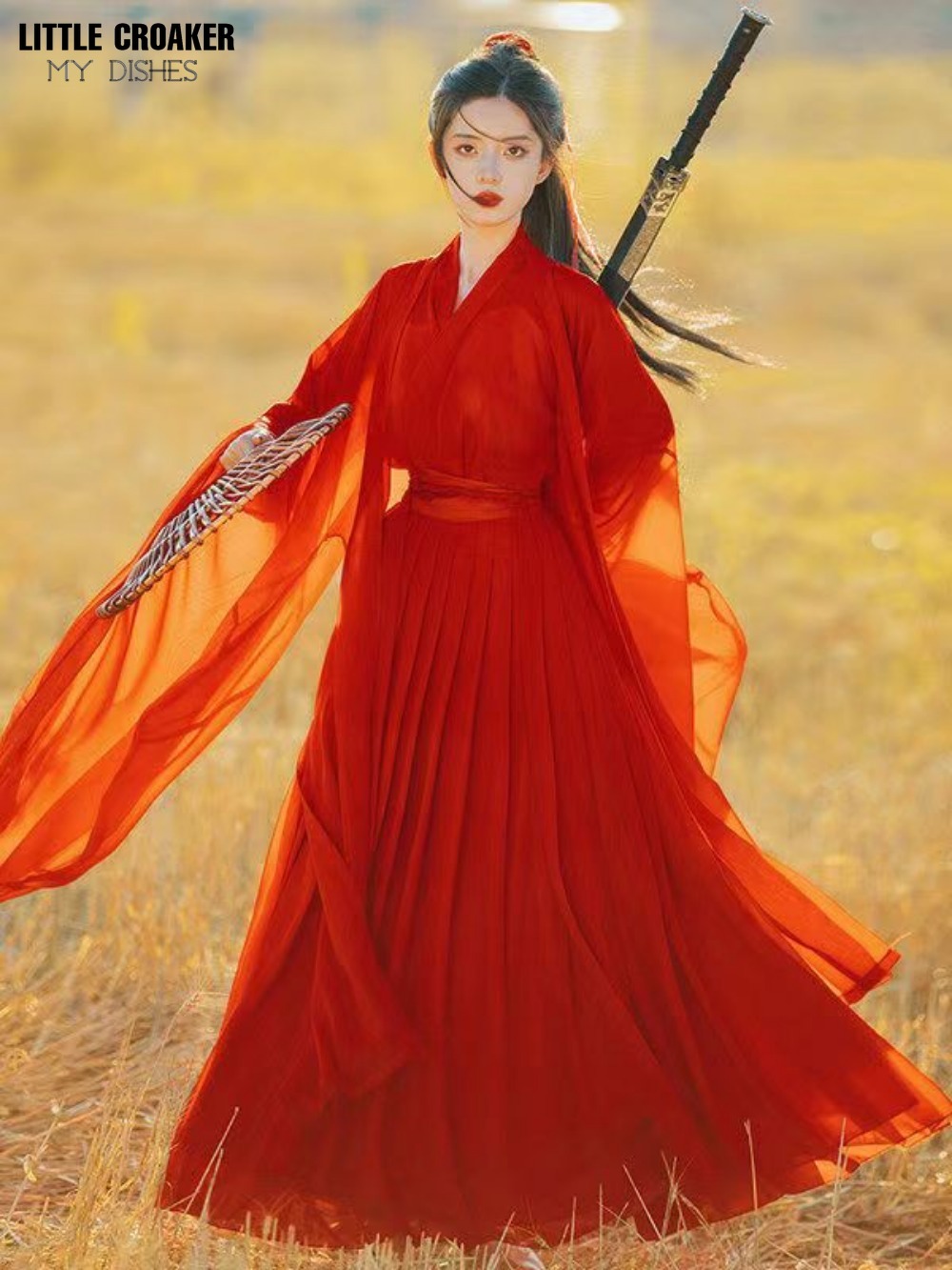 Costume de danse folklorique traditionnelle chinoise pour femmes, vêtements Hanfu pour dames, ancienne tenue de Cosplay de la dynastie Tang