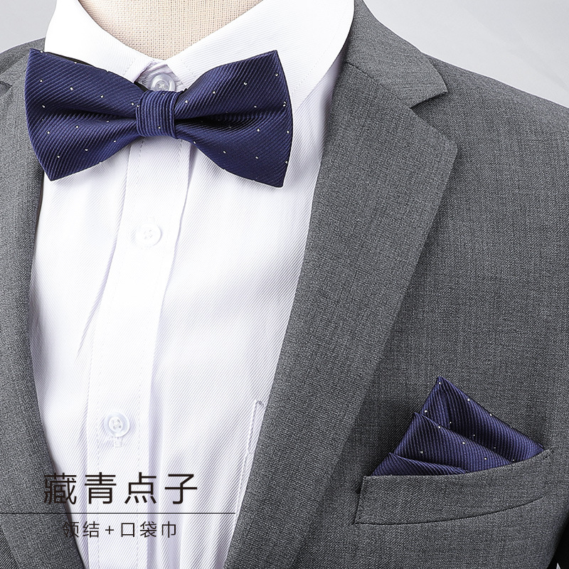 Nœud papillon et serviette de visage pour homme, pour costume, occasions formelles, banquets, mariages, tenues de marié, nœud papillon papillon masculin