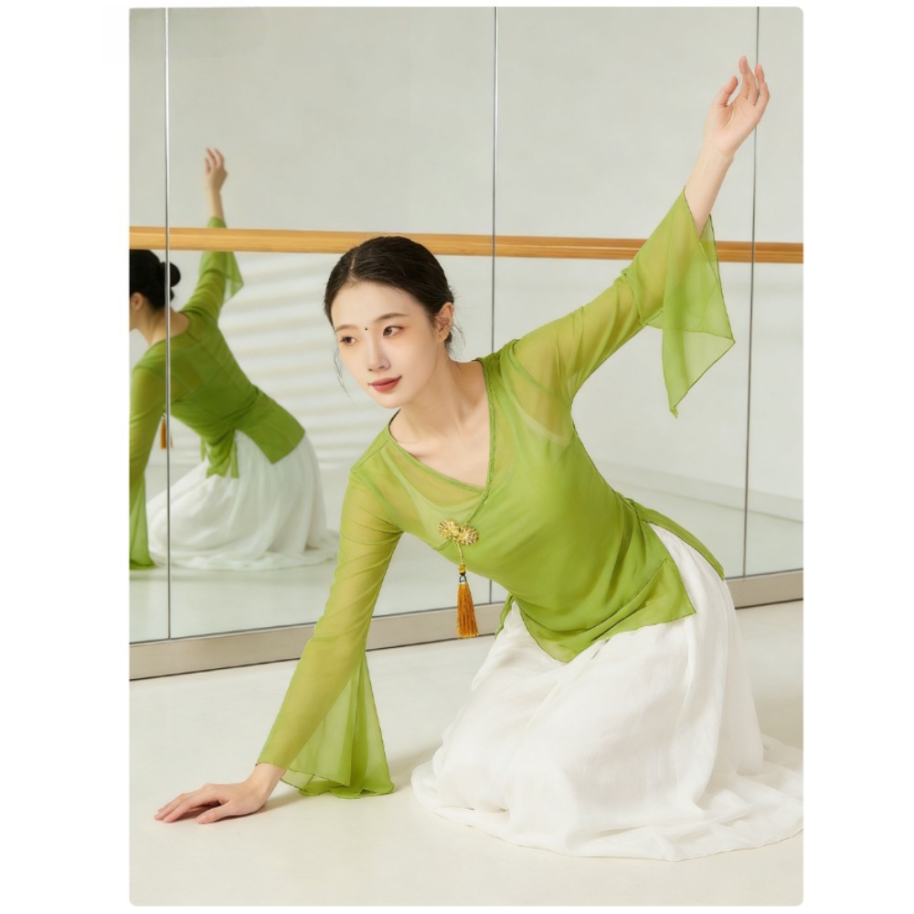 Costume de danse classique chinois pour femmes, tenue élégante et fluide pour la performance et l'entraînement
